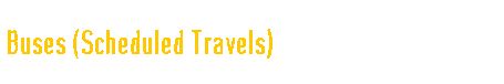  Buses (Scheduled Travels) 
